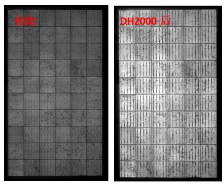 圖13 組件采用VA33含量EVA封裝后，DH2000前后的EL圖